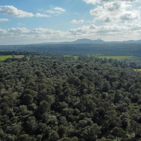 Magnifica Villa Tranquila En El Centro De Mallorca Biniali  Zewnętrze zdjęcie