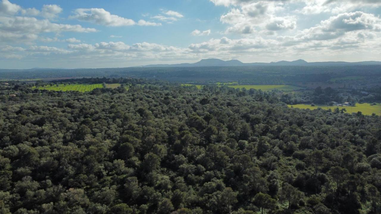 Magnifica Villa Tranquila En El Centro De Mallorca Biniali  Zewnętrze zdjęcie